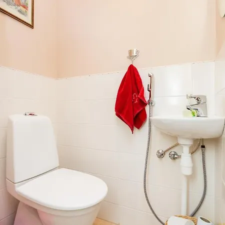 Lossiplatsi * 합살루